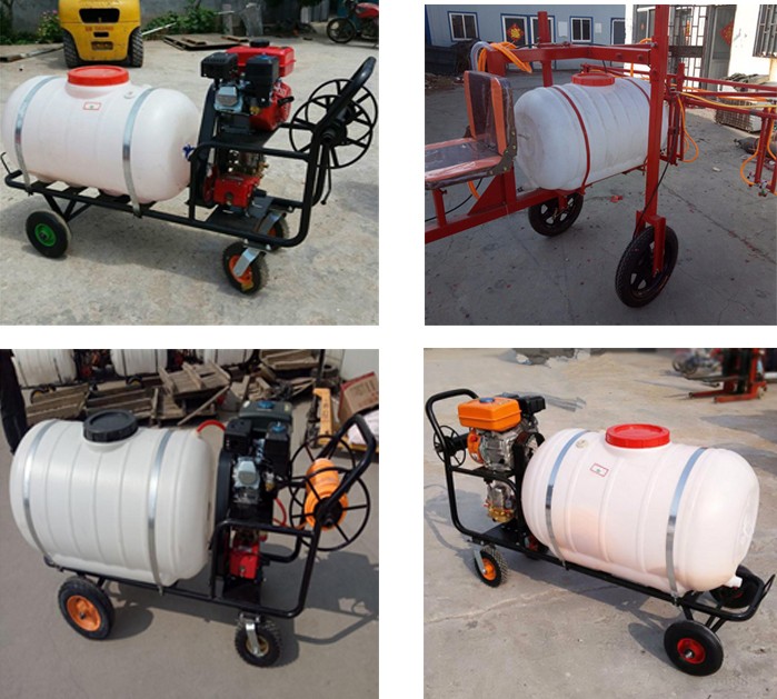 1546389858395300.jpg 细节的.jpg