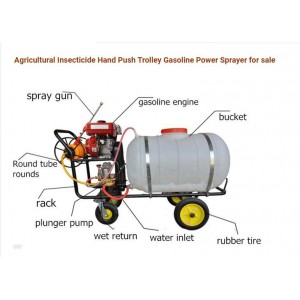 Hnad push agricultural insecticide spraying machine